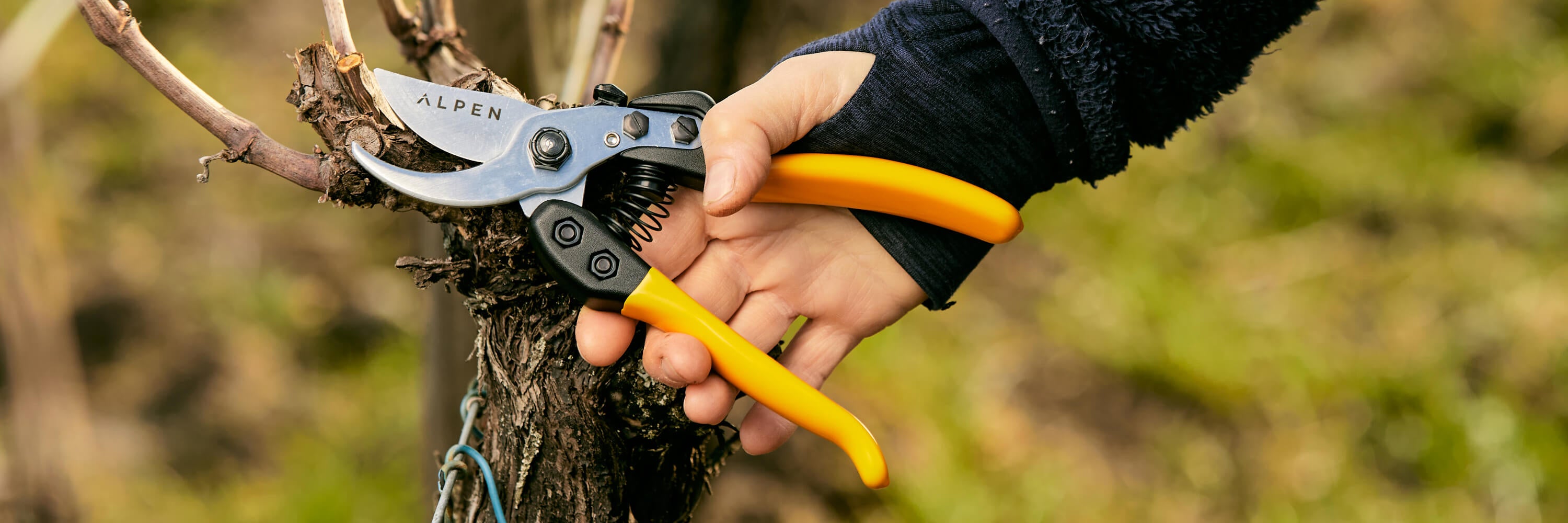 Pruning shears Alpen Swiss Tools
