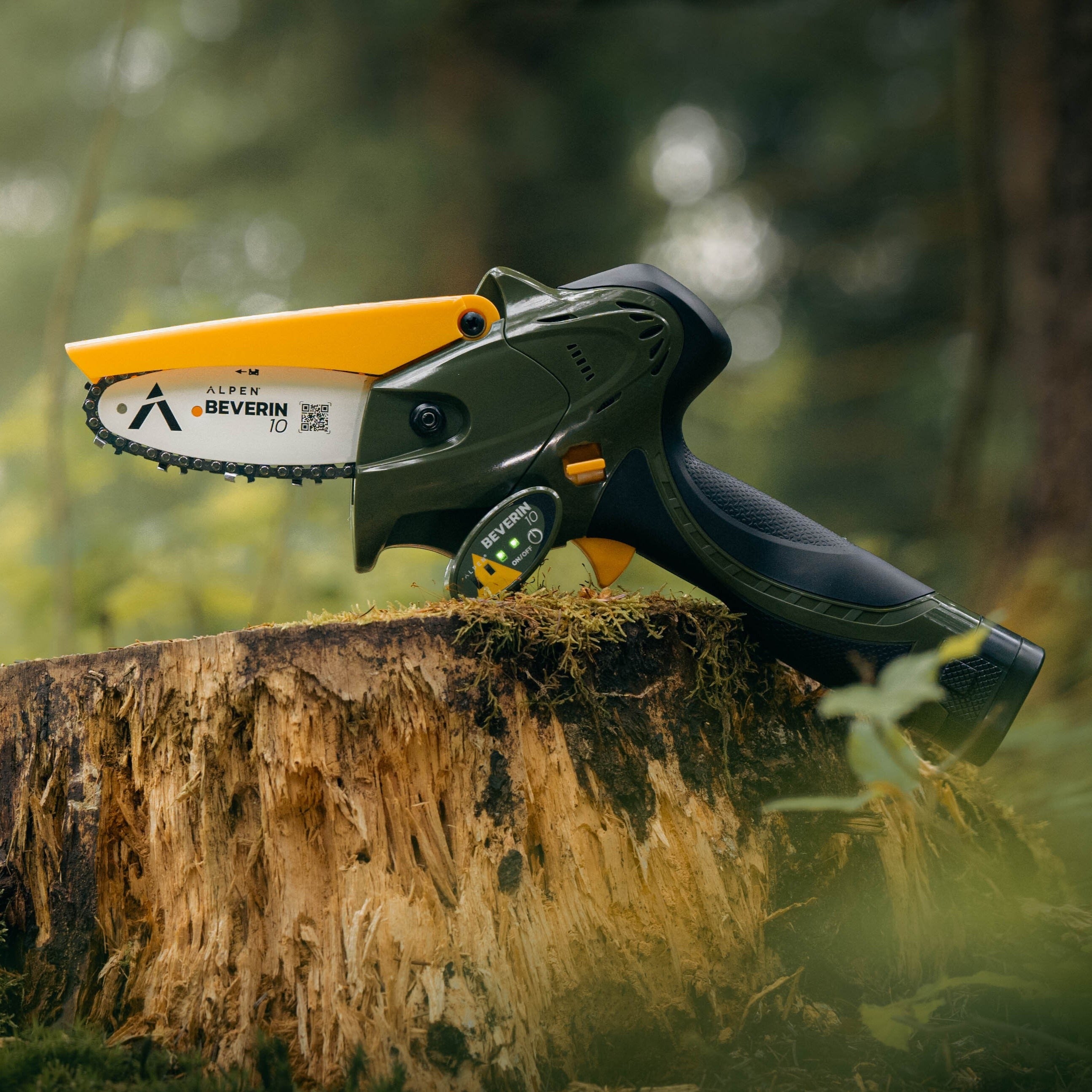 Serra eléctrica de corrente Beverin 10