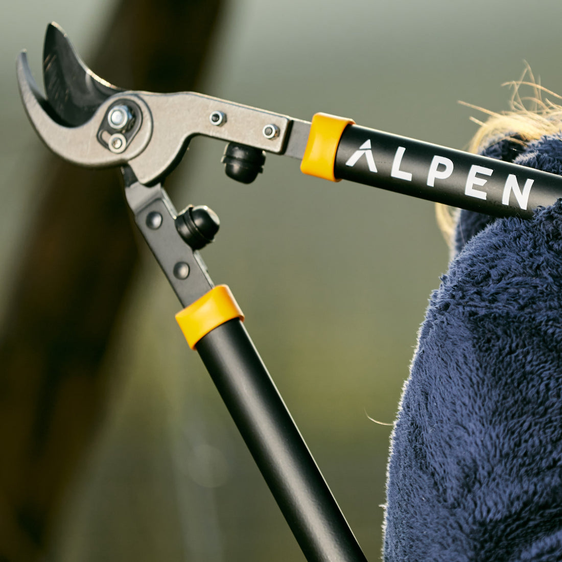 Elagueur Weisshorn 260