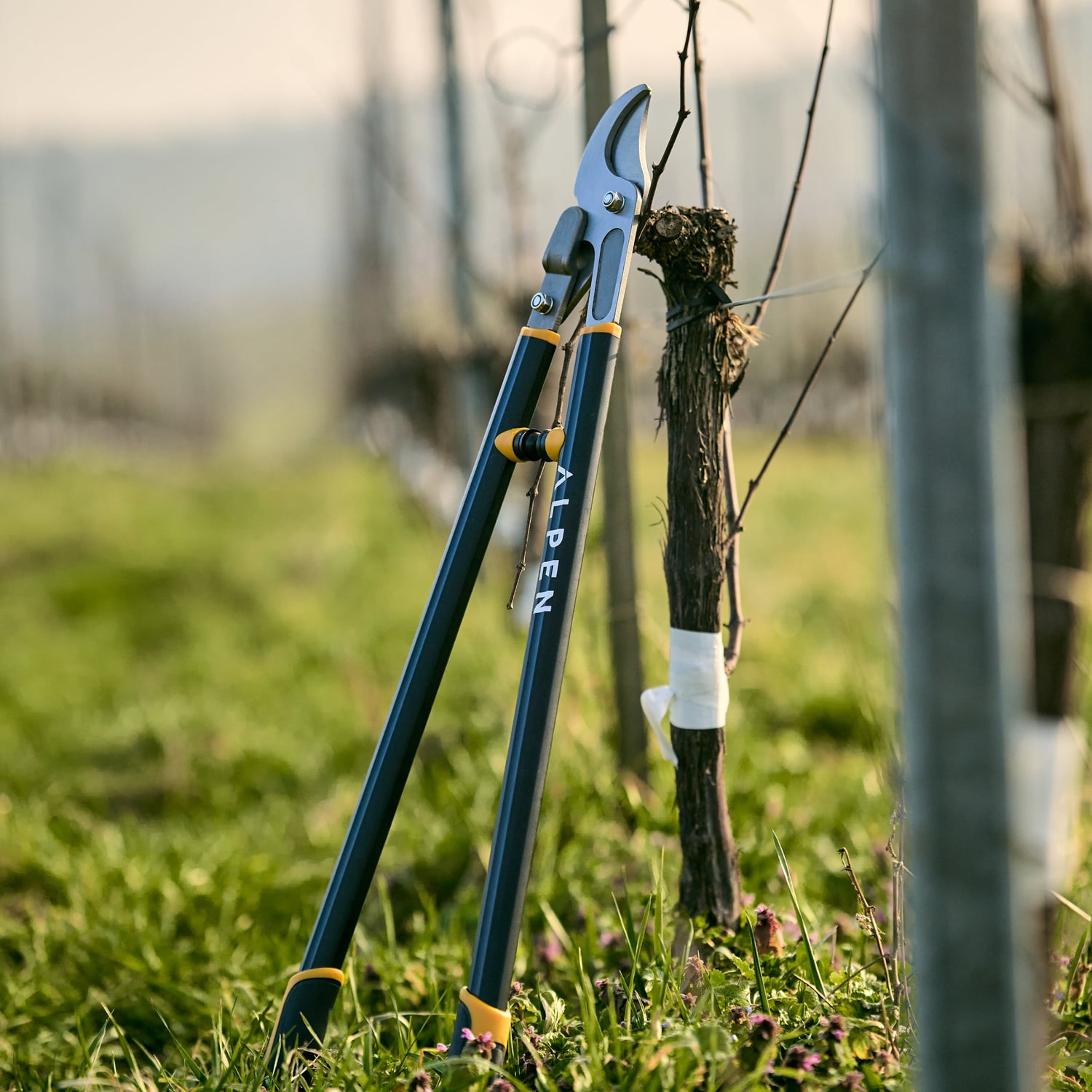 Troncarami Weisshorn 280