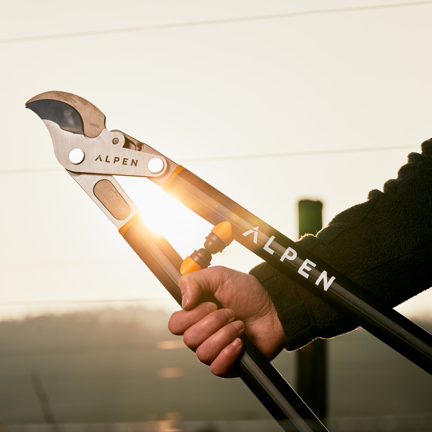 Troncarami Weisshorn 280