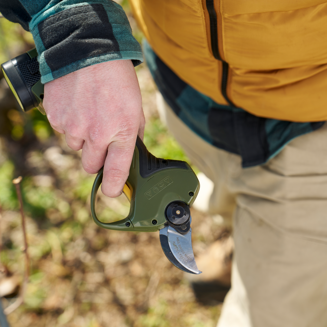 Elektrische Astschere Wildhorn 32 LIGHT