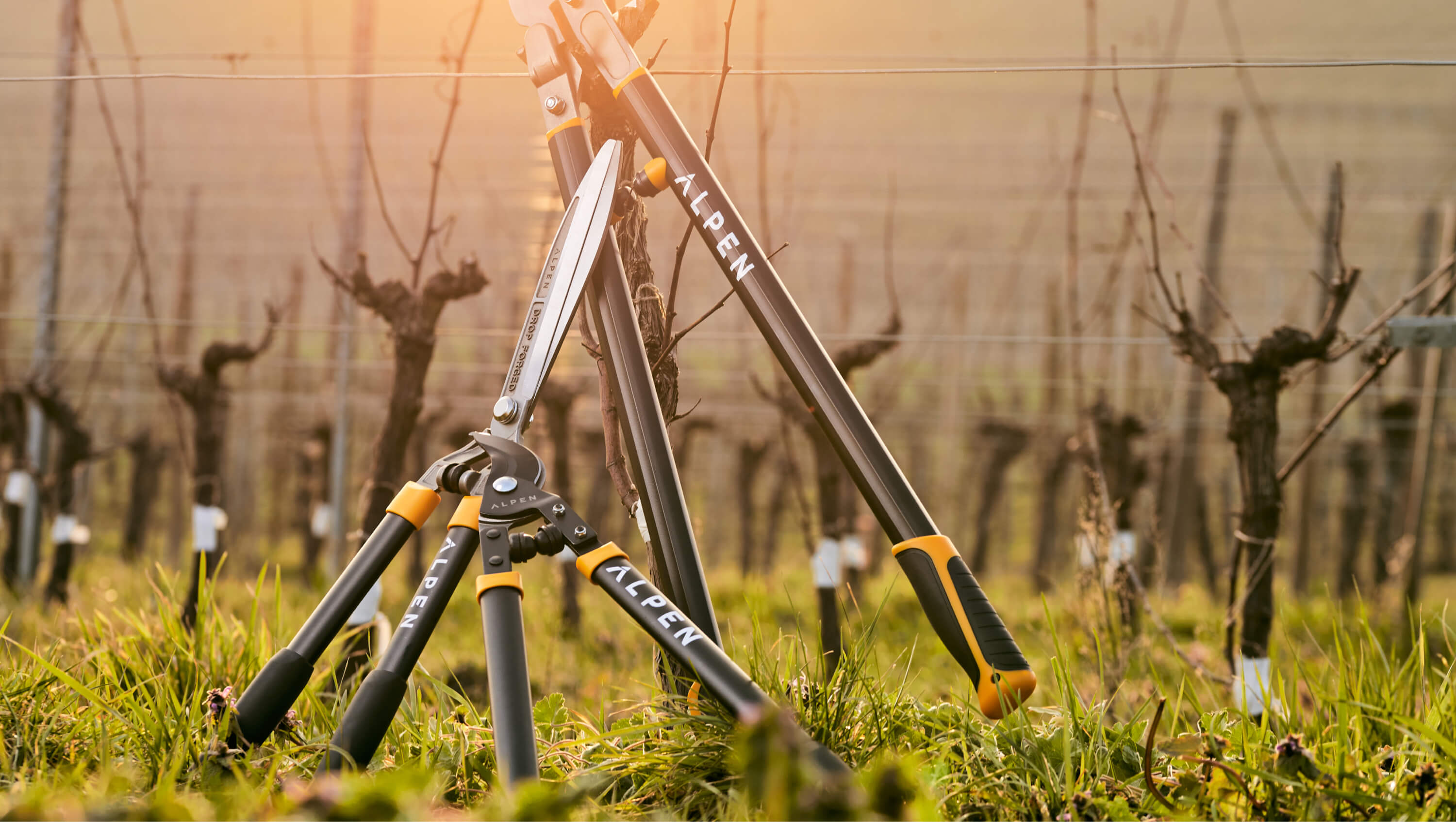 Manual and electric pruning shears, saws, hedge shears, loppers