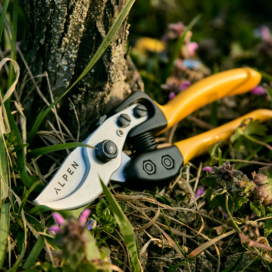 Manual and electric pruning shears, saws, hedge shears, loppers – Alpen ...