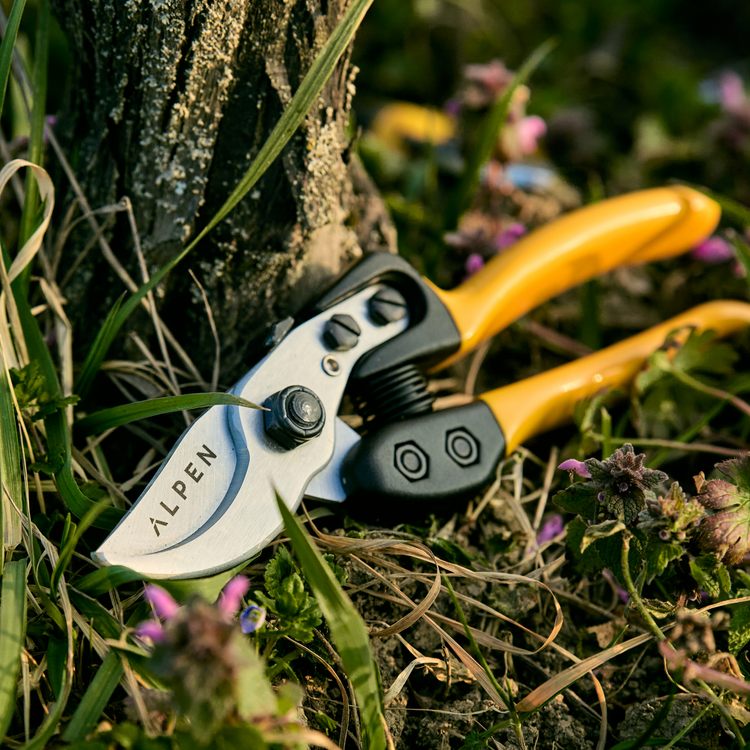Manual and electric pruning shears, saws, hedge shears, loppers – Alpen ...