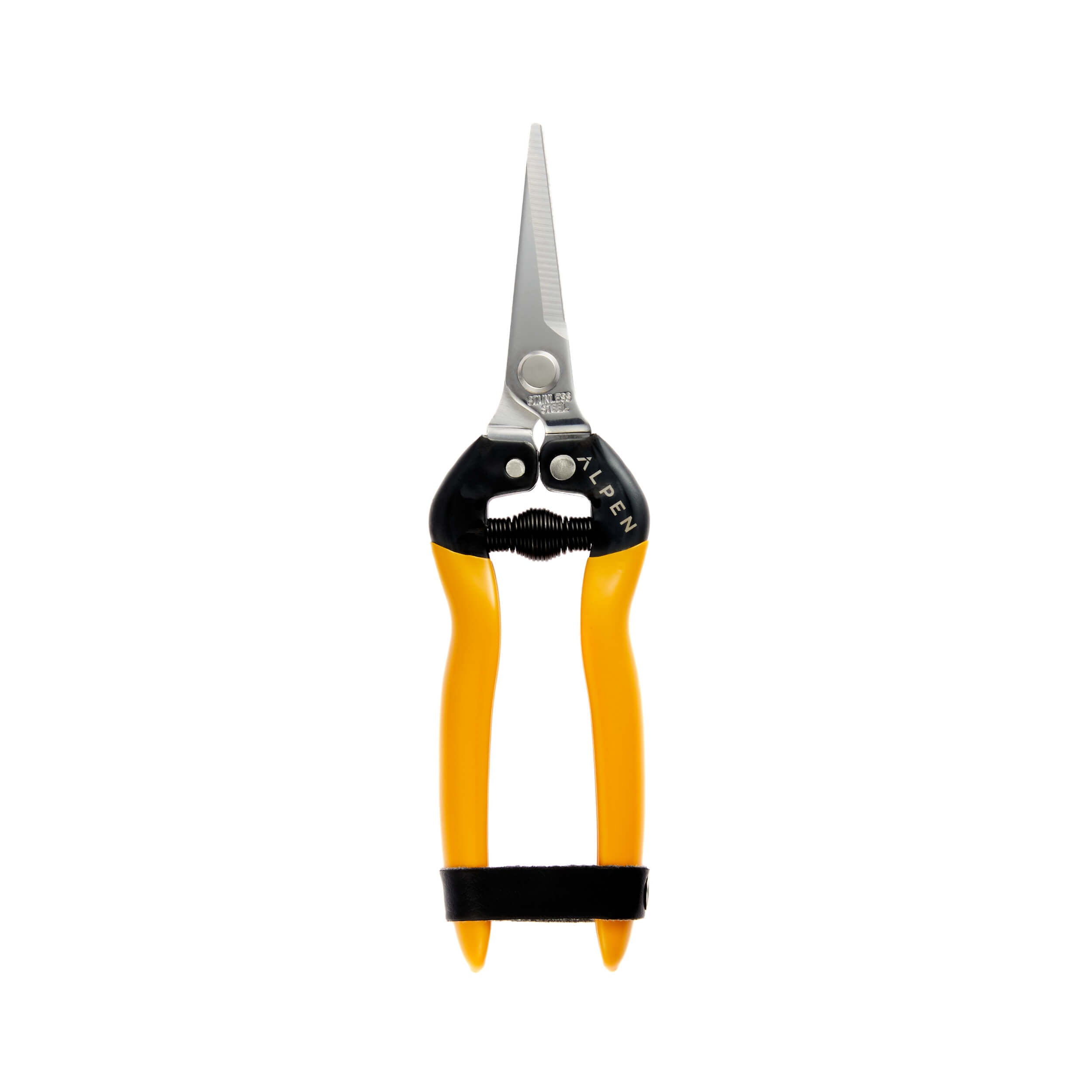 Snip Rigi 300