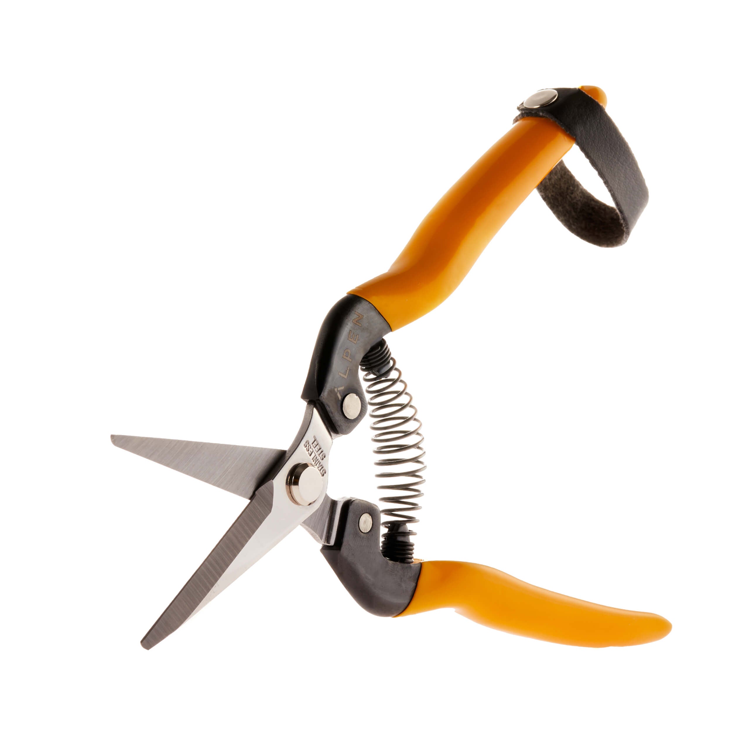 Snip Rigi 300